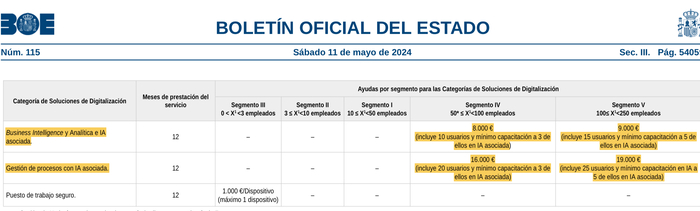 Nuevos segmento Kit Digital